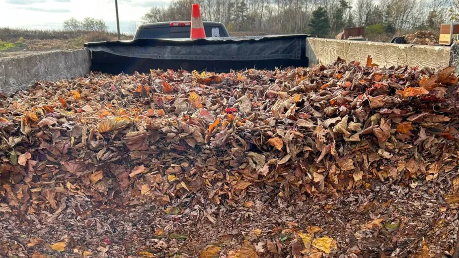 fall cleanup - leaf removal - terra bella landscaping newmarket