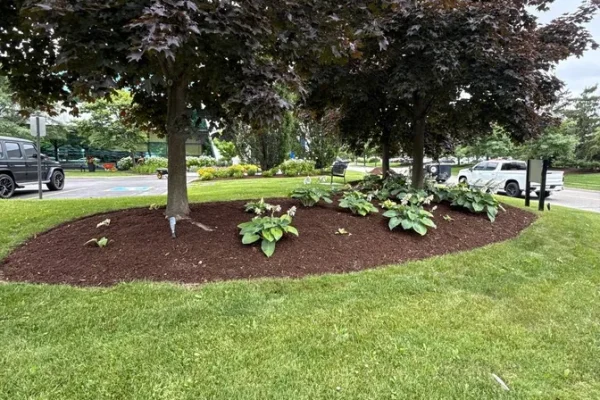 terrabella_landscapingprojects46
