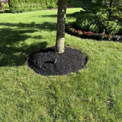 terrabella_landscapingprojects48