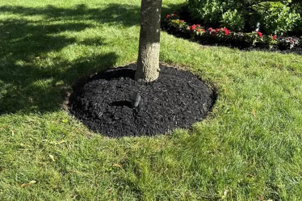 terrabella_landscapingprojects48