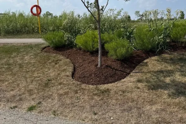 terrabella_landscapingprojects50