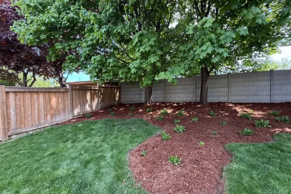 terrabella_landscapingprojects53