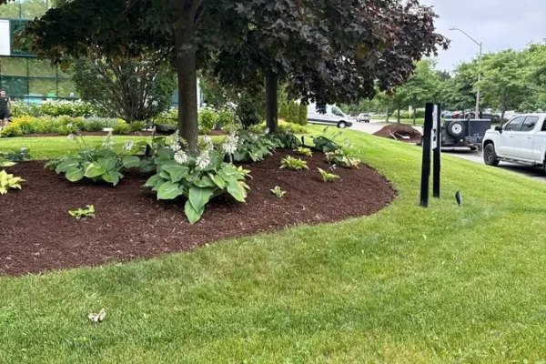 terrabella_landscapingprojects55