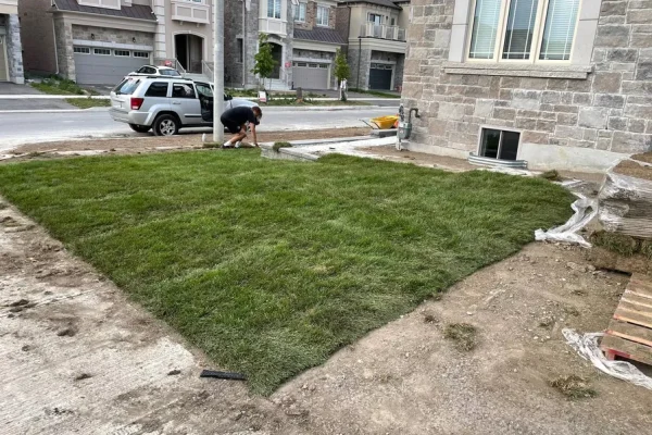 terrabella_landscapingprojects59
