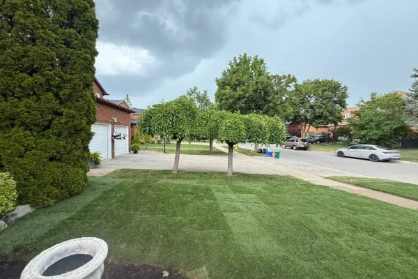 terrabellalandscaping_soddingproj1