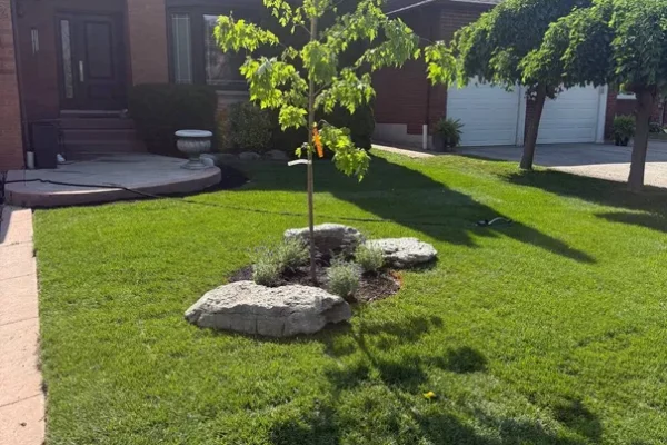 terrabellalandscaping_soddingproj5