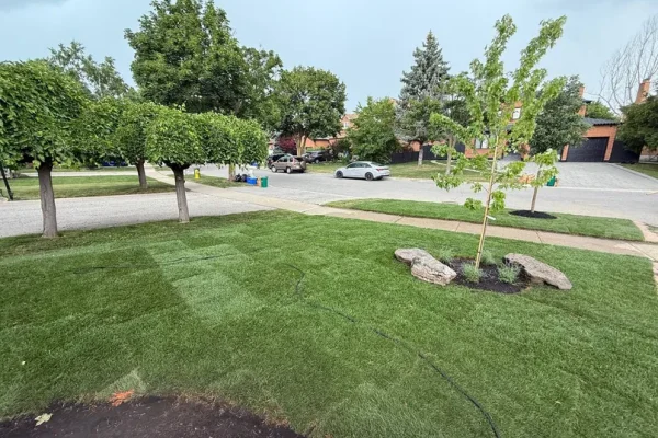 terrabellalandscaping_sodmulchproj2