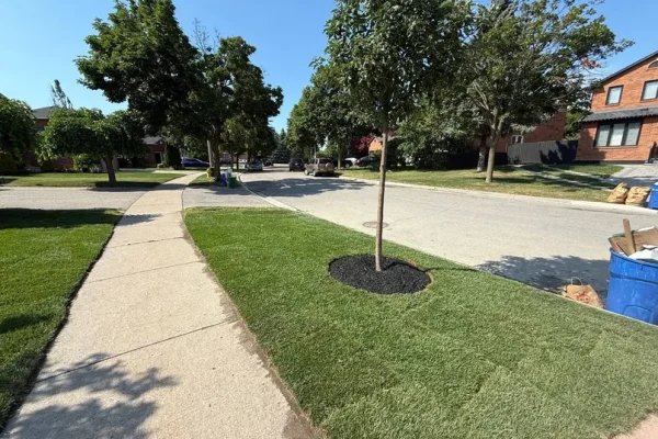 terrabellalandscaping_sodmulchproj3